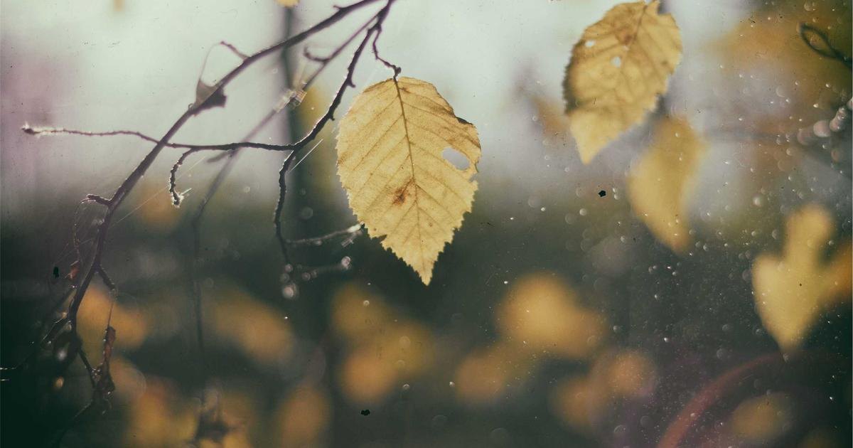 IPL 2026: इन 5 अनकैप्ड भारतीय सितारों पर रहेंगी सबकी निगाहें! — Cricket &amp; Sports — Trend Duniya