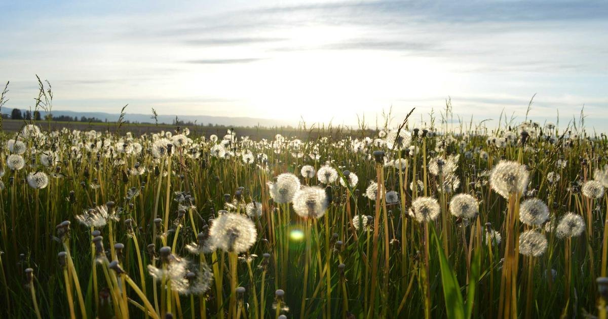 IPL 2026 Winner Prediction: क्या नया चैंपियन बनेगा या पुराना दम दिखाएगा? — Cricket &amp; Sports — Trend Duniya